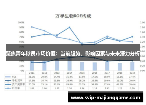聚焦青年球员市场价值:当前趋势、影响因素与未来潜力分析 聚焦青年球员市场价值:当前趋势、影响因素与未来潜力分析