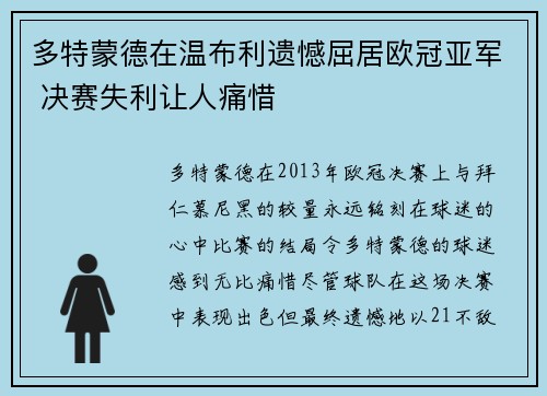 多特蒙德在温布利遗憾屈居欧冠亚军 决赛失利让人痛惜