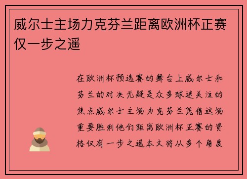 威尔士主场力克芬兰距离欧洲杯正赛仅一步之遥 威尔士主场力克芬兰距离欧洲杯正赛仅一步之遥